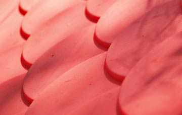 Darley Head plastic roof costs